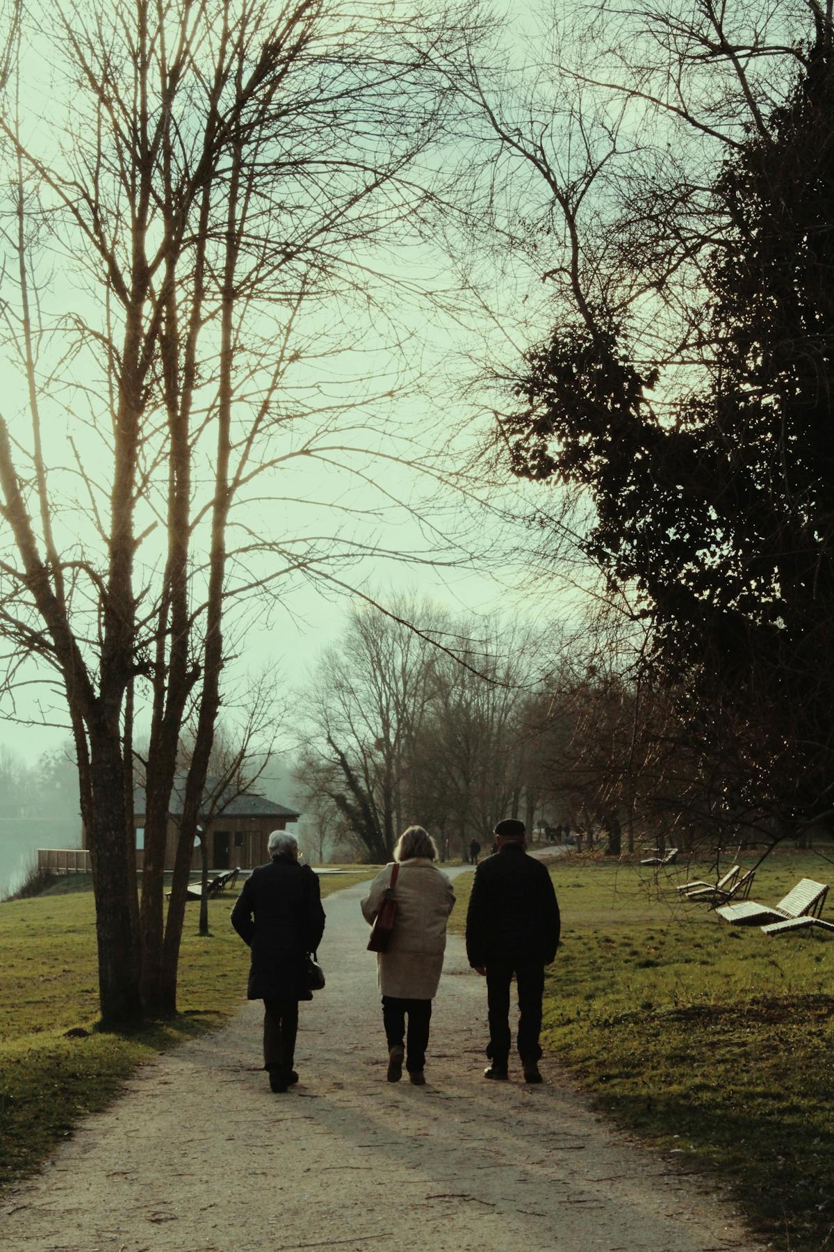 People walking through a park on a bright day