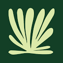 Juniper logo